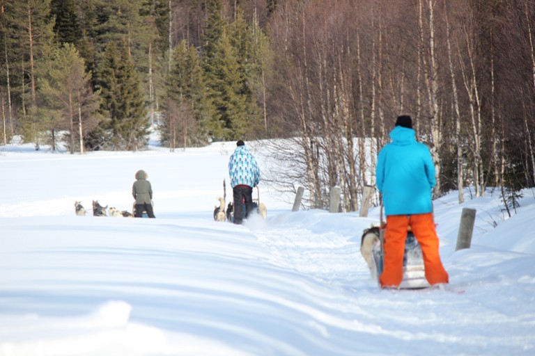 Vietä aktiiviloma Luontoretkeilyhostellissa