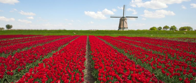 Reissuvinkit keväiseen Hollantiin – hostellimajoitukset alkaen 12,50 €/yö