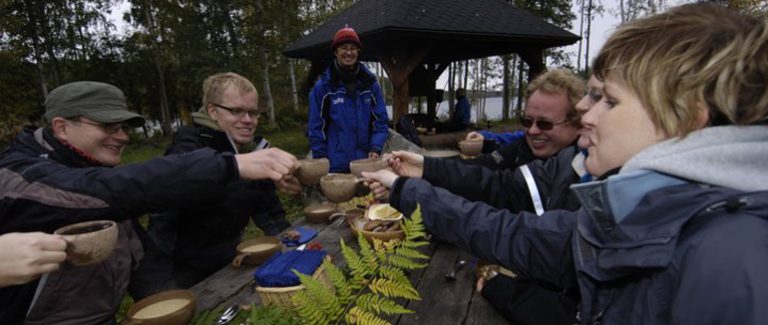 Linnansaaren ekohostelli, Savonlinna