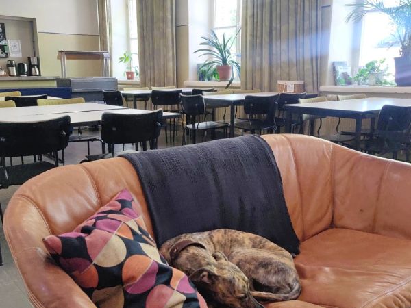 Hostel Suomenlinna ruokailutila