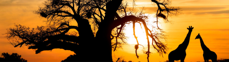 Onko Afrikassa hostelleja?