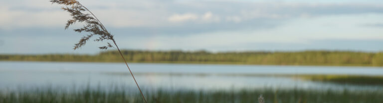 Luonnonrauhaa Nikkilän Elämyskylässä Ranualla