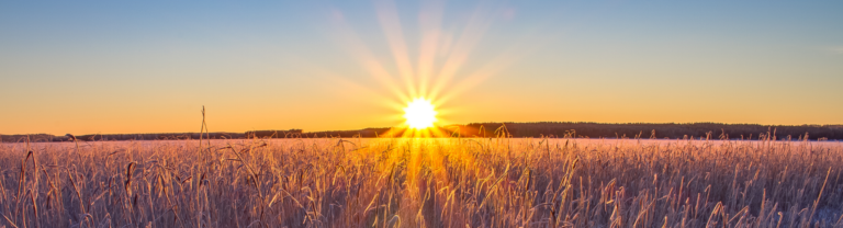 Juhlavuosi on kohta paketissa ja katseet suunnattu tulevaan