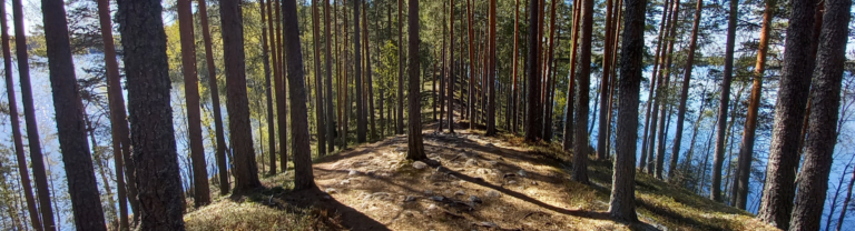 Leivonmäen kansallispuisto