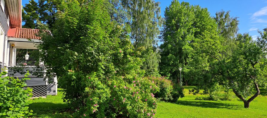 Saimaan Sydämen puutarhaa