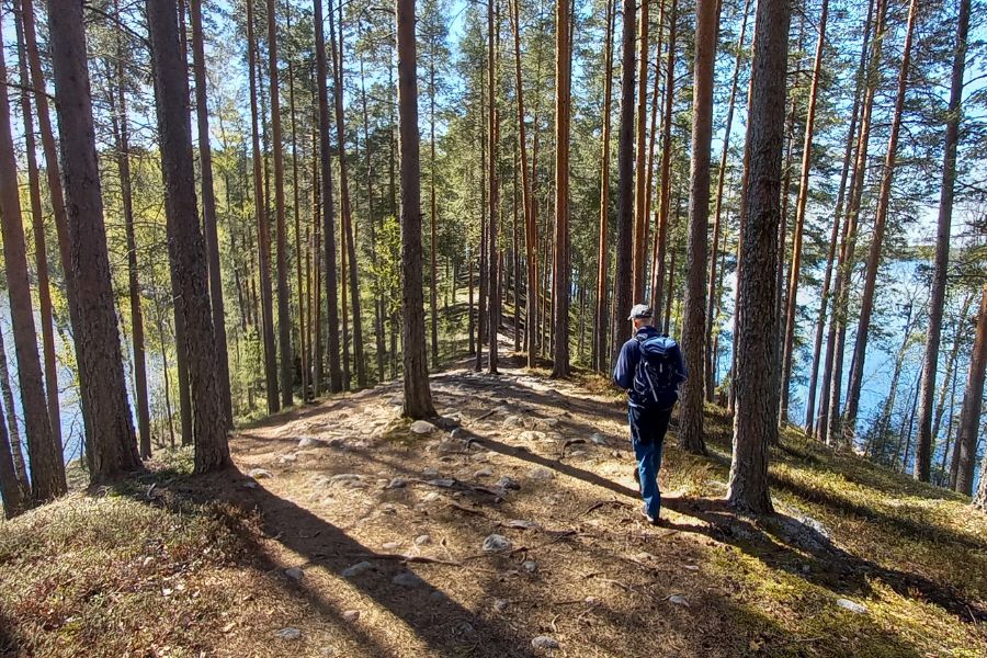 Retkeilijä Leivonmäen kansallispuistossa