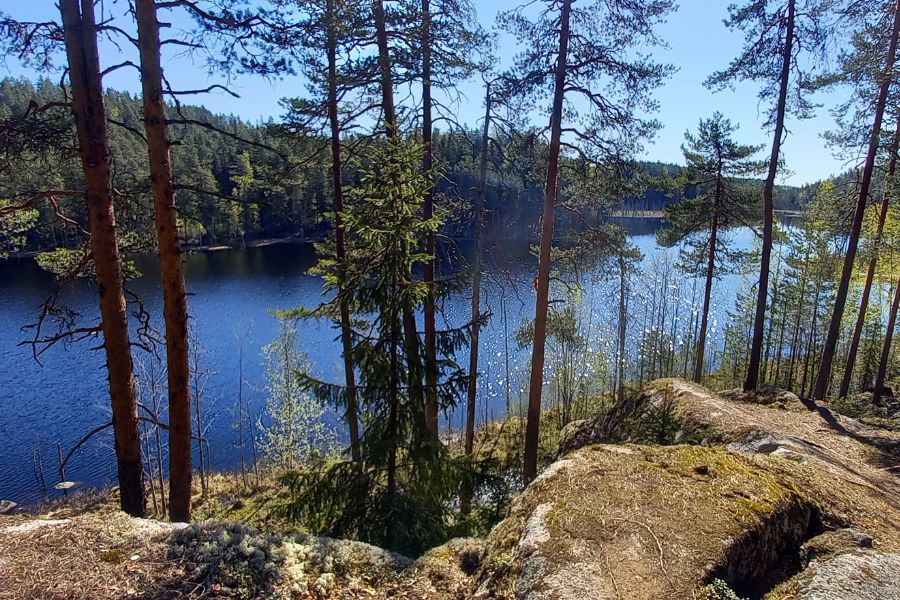 Näkymä järvelle Isojärven kansallispuistossa 