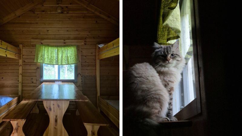 Aitta sisältä ja Jeti-kissa katsomassa ikkunasta ulos.