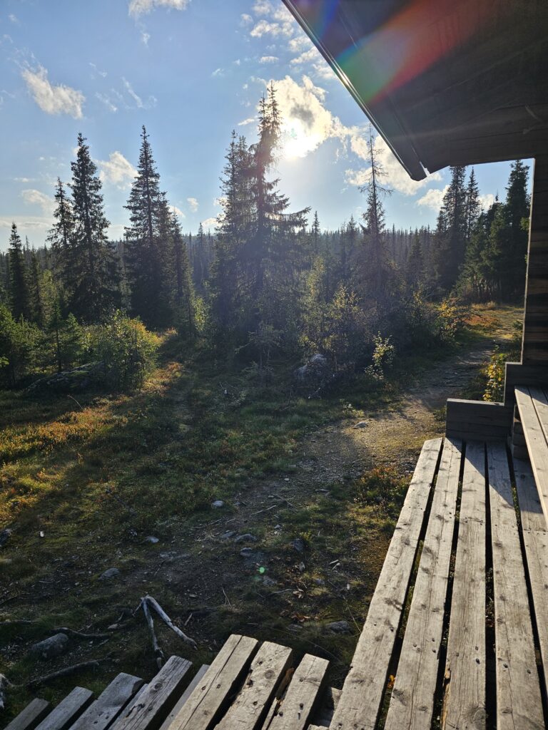 Ilta-aurinko luonnossa