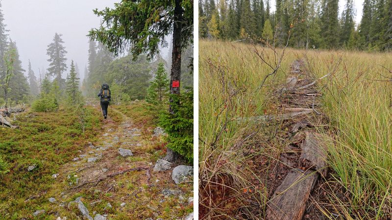 punainen reittimerkintä UKK-reitillä ja huonossa kunnossa olevat pitkospuut. 