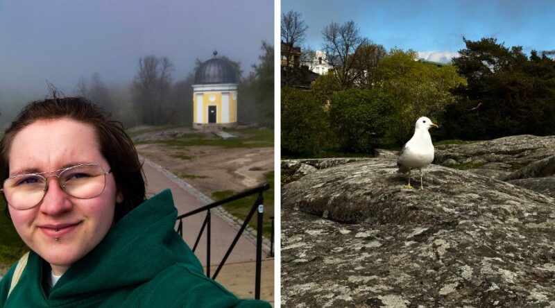 Reissaaja Kaivopuistossa