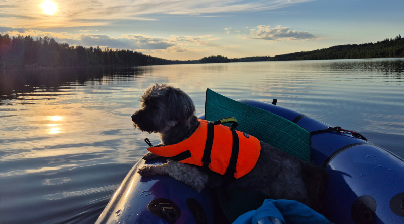 Viemenenjärven auringonlasku