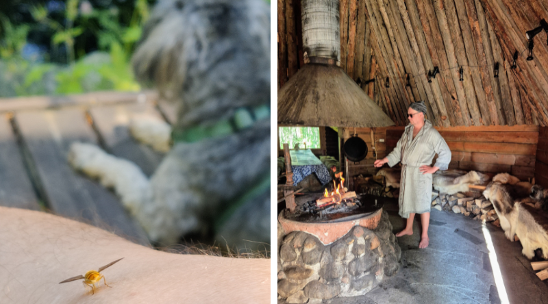 kodassa makkaran paistoa.