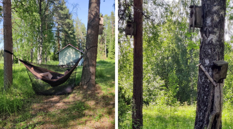 Reissaaja riippukeinussa. Linnunpönttöjä pihalla.