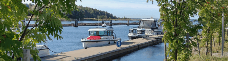 Hostellireissaajan paluu Linnunlahteen ja Joenkaupunkiin