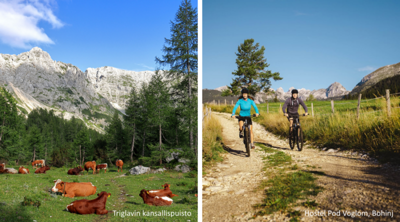 Triglavin kansallispuistoa ja pyöräilijöitä