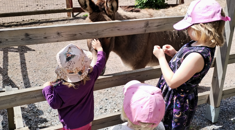 Lapset silittämässä aasia