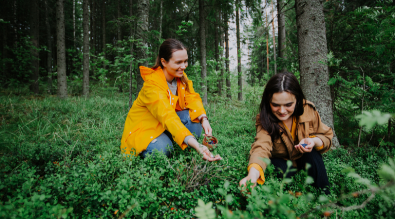 Berry picking