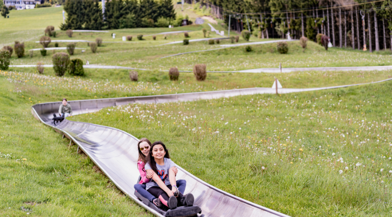 Sauerland Summer toboggan run