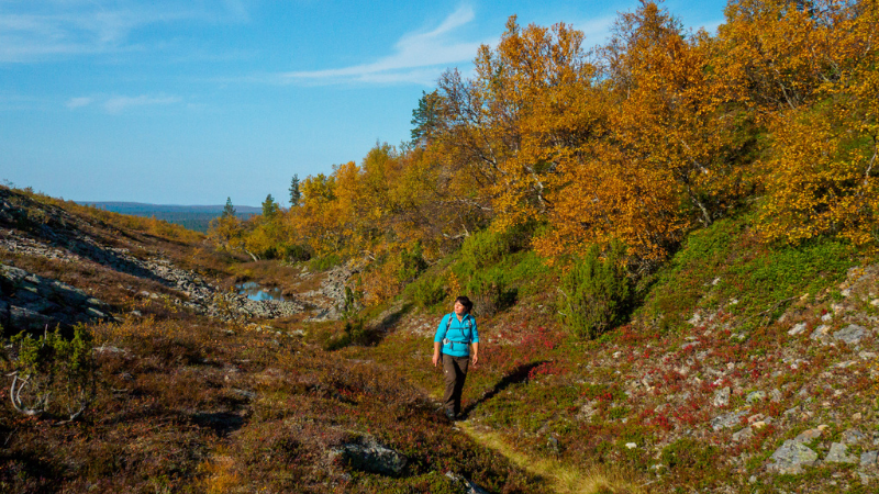 Kiilopää