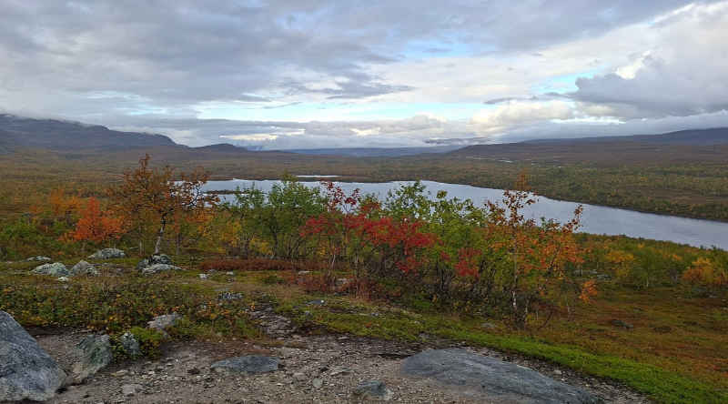 Ruska in Kilpisjärvi